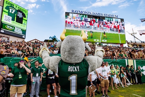 Rocky at USF football.