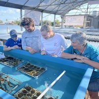 Scientists working to prevent coral impacts.