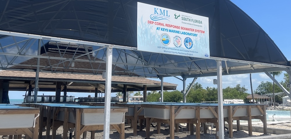 Seawater tables at Keys Marine Lab