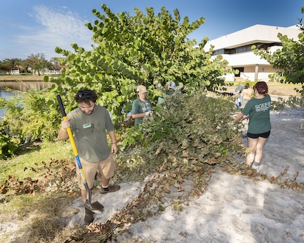 Student volunteers help Oliver Laczko clean up the shoreline along Bayboro Harbor in 2025.
