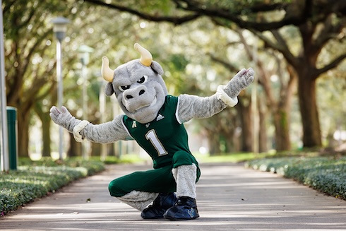 University of South Florida: A Preeminent Research University