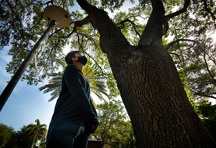 student looking at tree