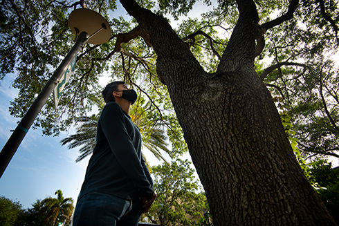 student looking at tree