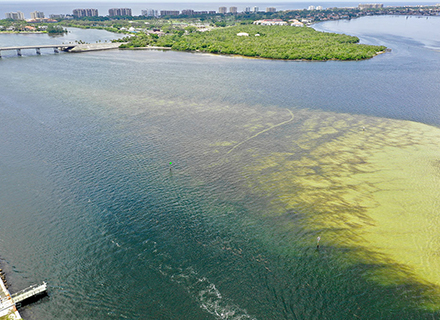 Aerial view of red tide along Florida’s gulf coast