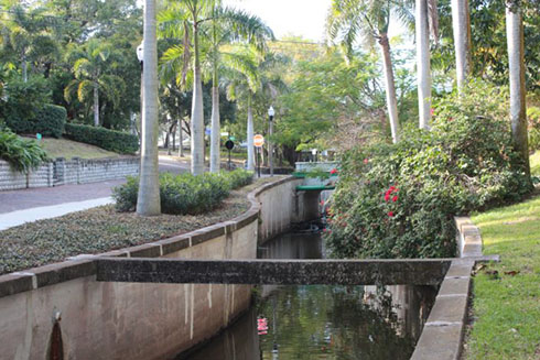 Booker Creek flowing through Roser Park in South St. Petersburg.