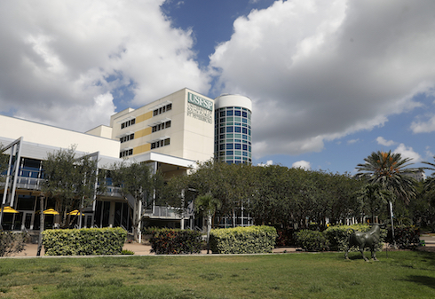 A view of campus.