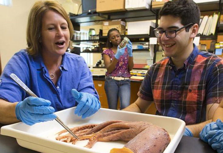 Professor Heather Judkins showing a student a cephalopod.
