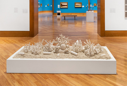 Chachamovits' sculptures mimic the bleaching of the reef's colors in an art gallary