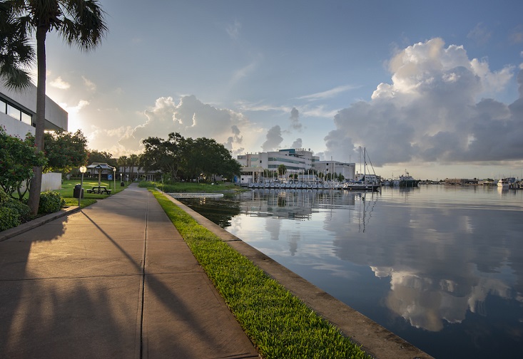 USF St. Petersburg campus waterfront