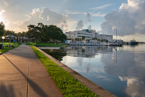 USF St. Petersburg campus waterfront