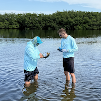 Project investigates contaminants and promotes the health of the bay.