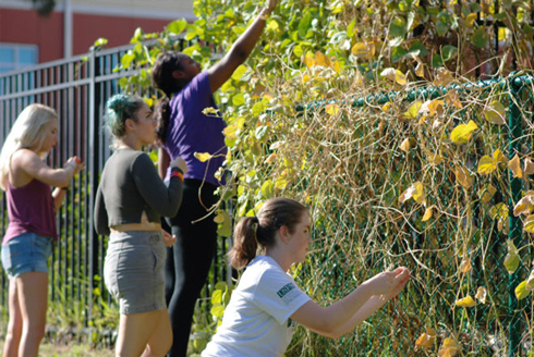 Students taking care of plants.