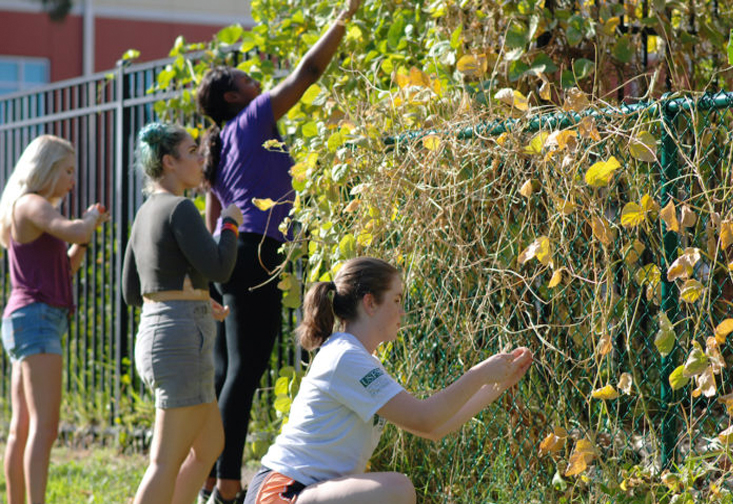 Students taking care of plants.