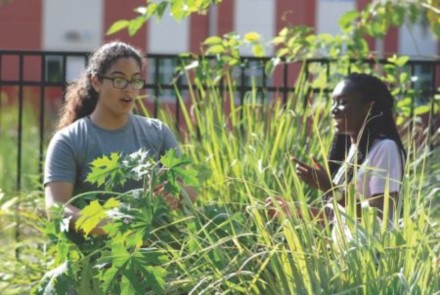 Two students working together taking care of plants