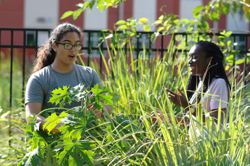 Students Mariah Culhane, Garden Club vice president, and Samantha Service, club secretary, working in the food forest.