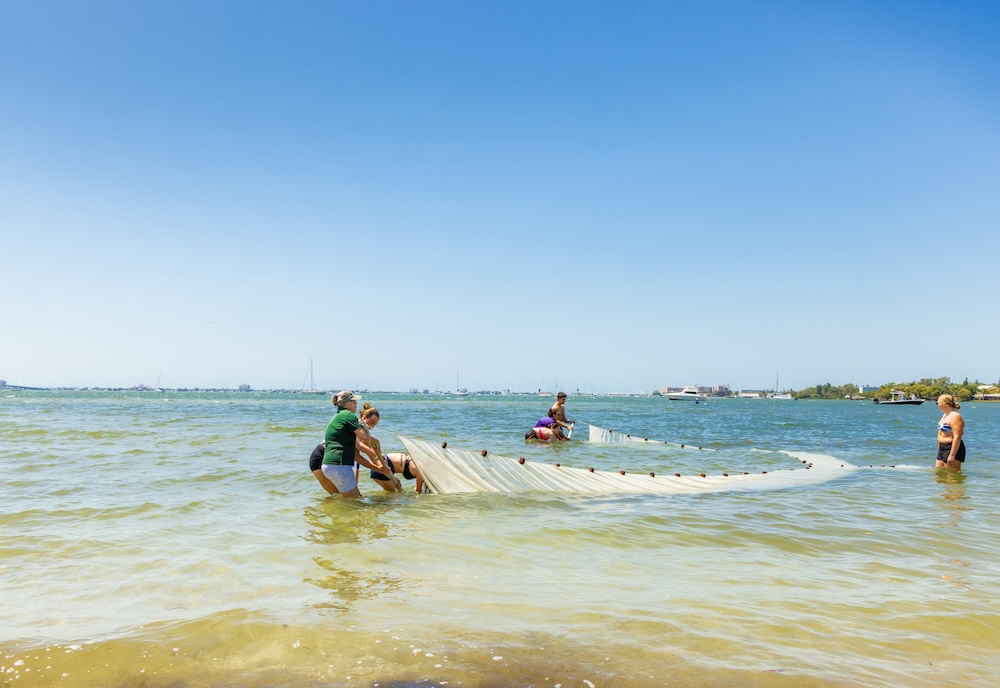 Field work in the Gulf.