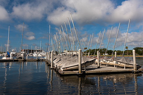 USF St. Petersburg campus waterfront