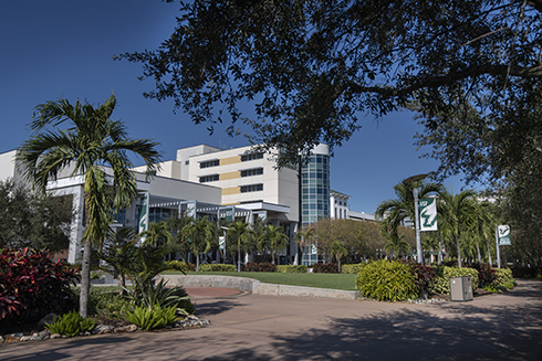 USF St. Petersburg campus