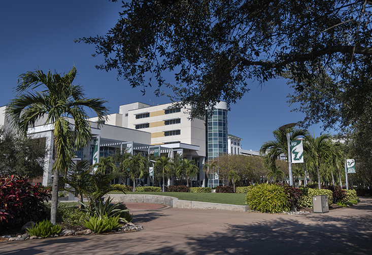 USF St. Petersburg campus