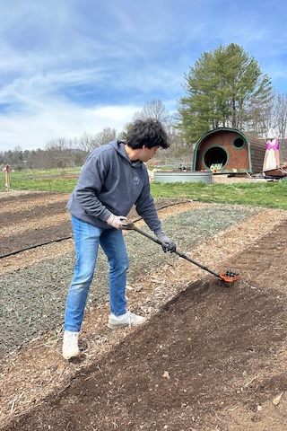 Tilling the soil.