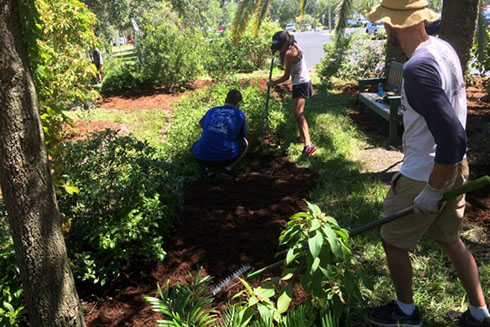 Students gardening