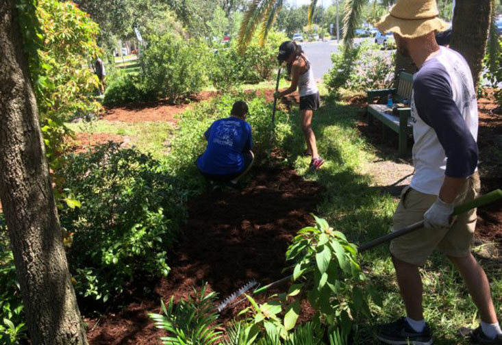 Students gardening