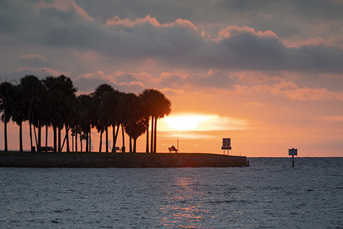 St. Petersburg Waterfront