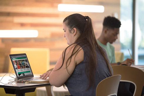 25 students make up the initial class for the new online program of accounting at USFSP.