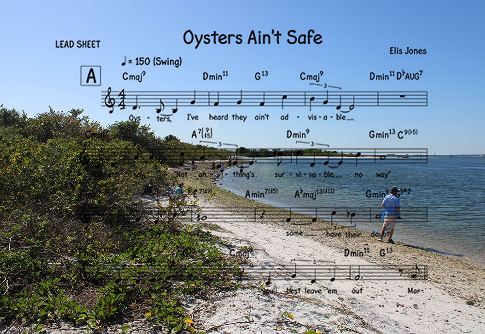 Apollo beach with oyster bed and sheet music 