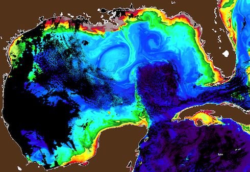 This high-quality image captured by PACE reveals eddies, the Loop Current, river plumes, and coastal circulation in the Gulf of Mexico. PHOTO CREDIT: The Optical