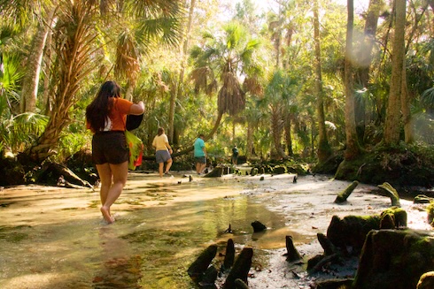 Students exploring Gulf Coast.