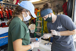 Piney Point water sample research