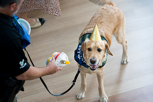 snowbird comfort dog receiving a new dog toy
