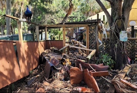 Storm damage