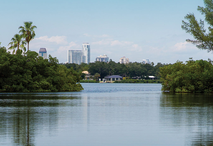 water with the city of St. Petersburg in the background