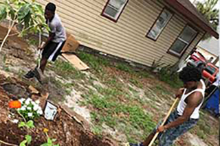 people working in a community garden