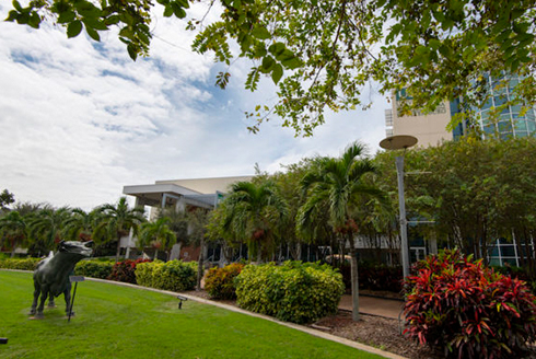 USF St. Petersburg campus