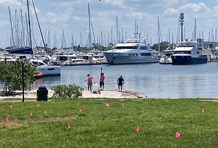 student picking up trash along the water on st pete campus