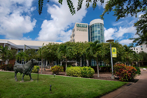 USF St. Petersburg campus