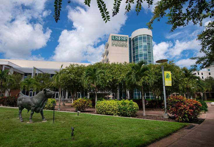 USF St. Petersburg campus