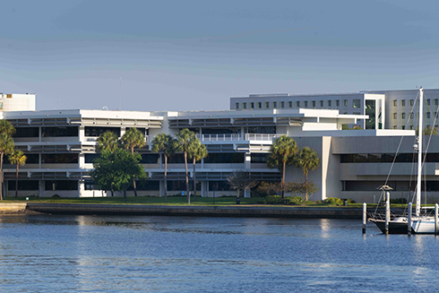 USF St. Petersburg campus overlooking the water