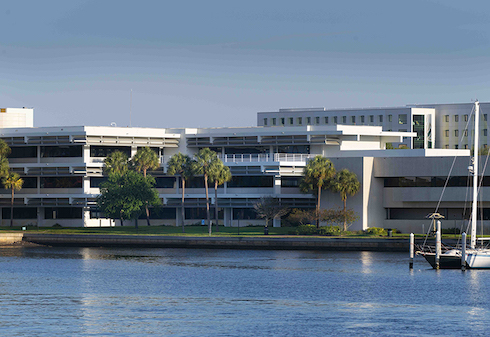 USF St. Petersburg campus overlooking the water