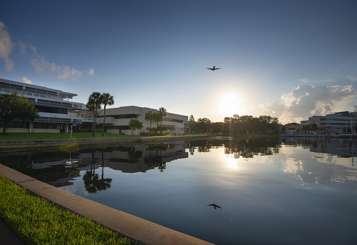 The grant from Second Nature will allow USF to unify and streamline efforts to address climate change while creating a more sustainable environment. 