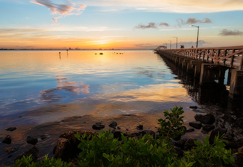 Environmental shot of Tampa Bay.