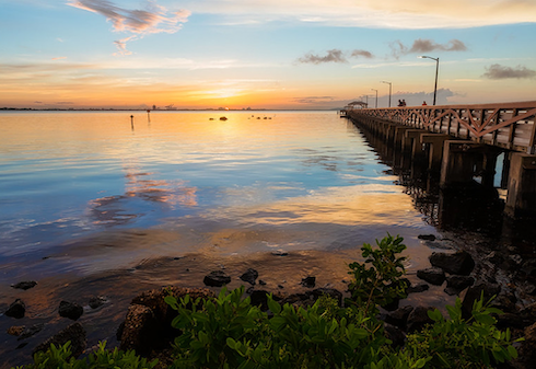 Environmental shot of Tampa Bay. 