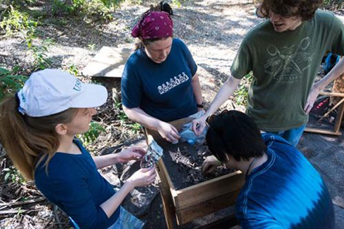 Kristina Wood, Bethany Brittingham, Zorana Knezevic, and Chandler Lazear working at the Weedon Island archaeological site.