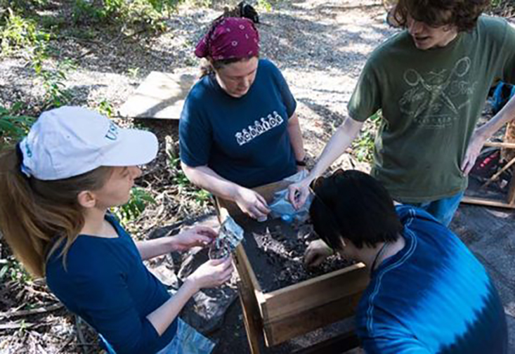 Kristina Wood, Bethany Brittingham, Zorana Knezevic, and Chandler Lazear working at the Weedon Island archaeological site.