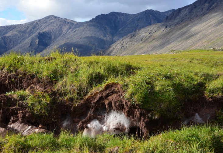 Mountains in the background and grass in the foreground