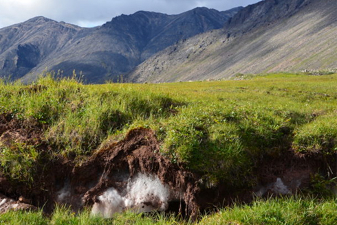 Mountains in the background and grass in the foreground