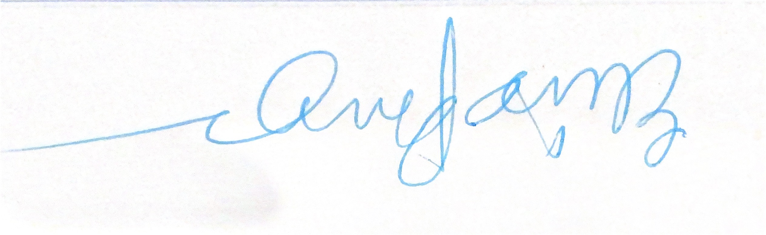 elise signature